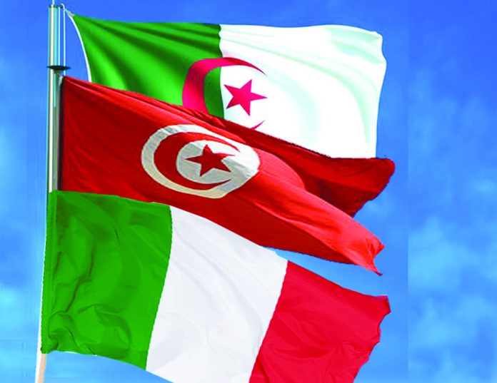 drapeau-algerie-rendu-3d-fond-ciel-bleu_35913-930