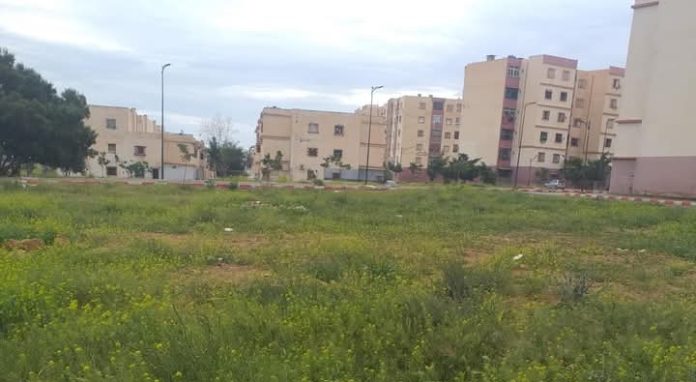 FB_IMG_1745229709211-2