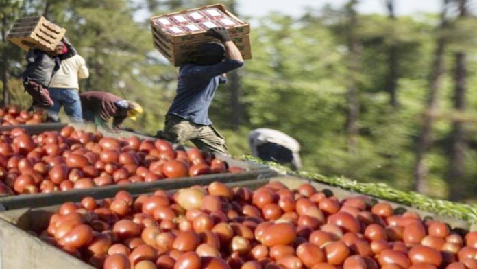 b656f803dfbf4cc945f8ce83d02ac7d47466eca7