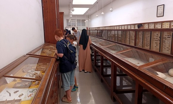 6863733110c0f665268e9abf1dd674f4_M