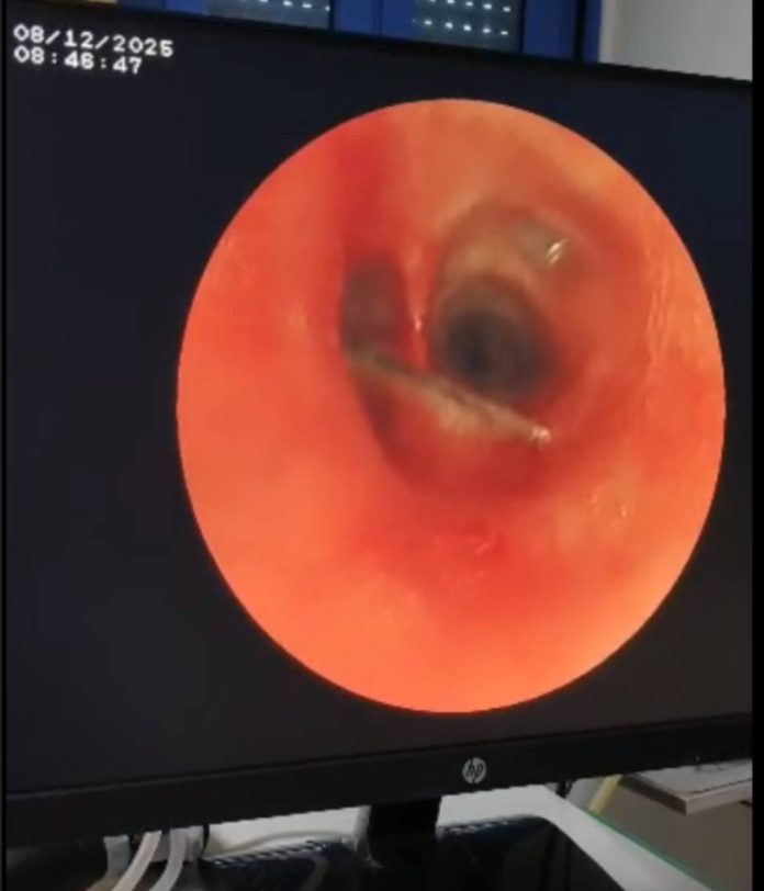 595604677_1302563645245998_5144239682299859301_n