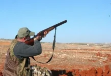 Interdiction de la chasse à partir de mi-janvier : Les services du Premier ministre démentent