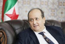 Sifi Gharib : une Constitution au service de la stabilité