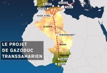 Relance du projet TSGP – Nigeria – Niger – Algérie – Europe : opportunités et contraintes