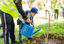 Campagne nationale : Plantation ce samedi de 5 millions d’arbres