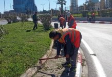 Oran : Vaste opération d’amélioration de l’environnement
