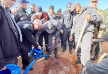 Plantations de 5 millions d’arbres: Mostaganem mobilisée