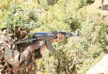 Drogue : l’ANP saisit plus d’une tonne de kif traité en une semaine