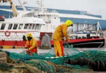 SECTEUR DE LA PÊCHE : Un fonds pour soutenir les pêcheurs en période d’inactivité