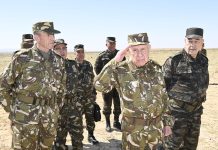 OPÉRATION ANTITERRORISTE À TEBESSA : Chanegriha salue le courage des forces engagées