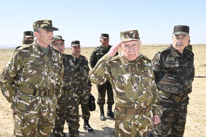 650707735_1232941562341947_6807521444231031042_n