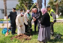 Journée internationale des forêts : Plantation d’arbustes à l’hôpital de Sidi Ali