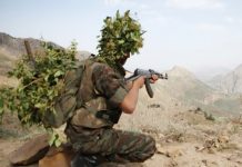 Tébessa : l’ANP neutralise sept terroristes