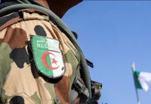 ANP: Neutralisation de deux narcotrafiquants marocains à Beni Ounif
