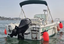 NAVIRES CÔTIERS : L’importation de moteurs de moins de 5 ans, bientôt autorisée