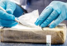 Narcotrafic : 113 kg de cocaïne saisis par l’ANP