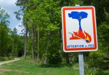 Forêts : l’été arrive, le danger aussi
