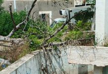 Mostaganem : Un espace vert à l’abandon au centre-ville