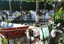 Espaces verts à Mostaganem : Le square Boudjemaa, ombre de lui-même