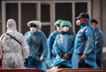 Hantavirus : faut-il craindre un nouveau fléau mondial ?