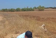 Sayada (Mostaganem) : Essai d’un puits artésien à Douar El Aouaouda