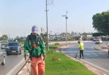 ‘’Oran la Verte’’ : Les opérations d’entretien des espaces verts se poursuivent