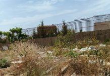 Le cimetière de Sidi Benhaoua dans un piteux état : Où sont passées les Associations de quartier ?