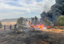 Protection civile: extinction de 142 incendies sur un total 195 en 24h