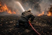 Incendies meurtriers dans plusieurs wilayas: La Protection civile au cœur de la bataille