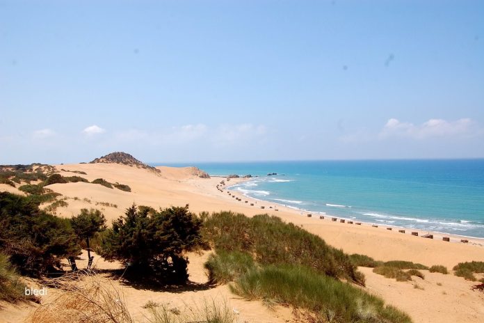 ferryscanner-algeria-mostaganem-8