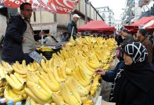 Pourquoi la banane est absente des étals des marchés ?