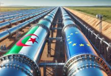 Vers un nouveau corridor énergétique entre l’Afrique du Nord et l’Europe : 5 pays réunis à Alger pour accélérer le projet