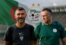 La FAF officialise son nouveau staff technique de l’EN : Hemdani, Yahia et Saïb aux commandes des Verts