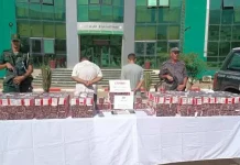 Aïn Defla : Saisie de près de 178.000 capsules de psychotropes