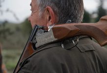 FORÊTS : La saison de chasse 2026-2027 ouverte le 10 octobre