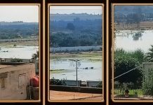 Mostaganem : Scandale des eaux usées au centre équestre de Sayada