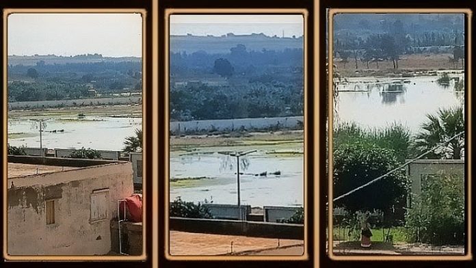 Screenshot_20261012-225213~2